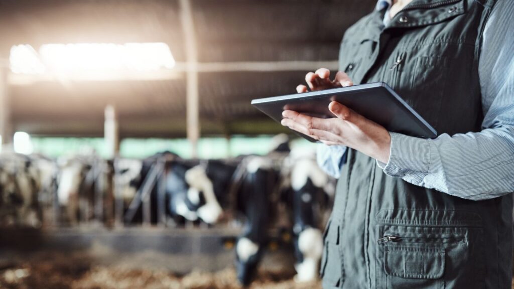 Como funciona uma consultoria em gestão agropecuária na prática