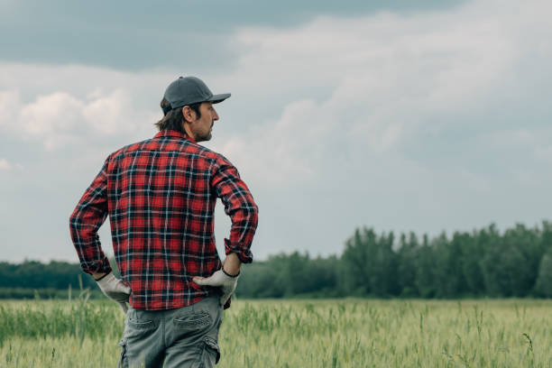Worried wheat farmer agronomist standing in cultivated cereal crop agricultural field looking over the plantation full of weed. Rear view of male farm worker concerned over bad condition of crops