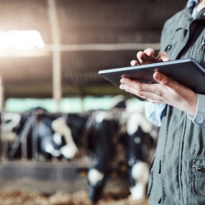 Como funciona uma consultoria em gestão agropecuária na prática